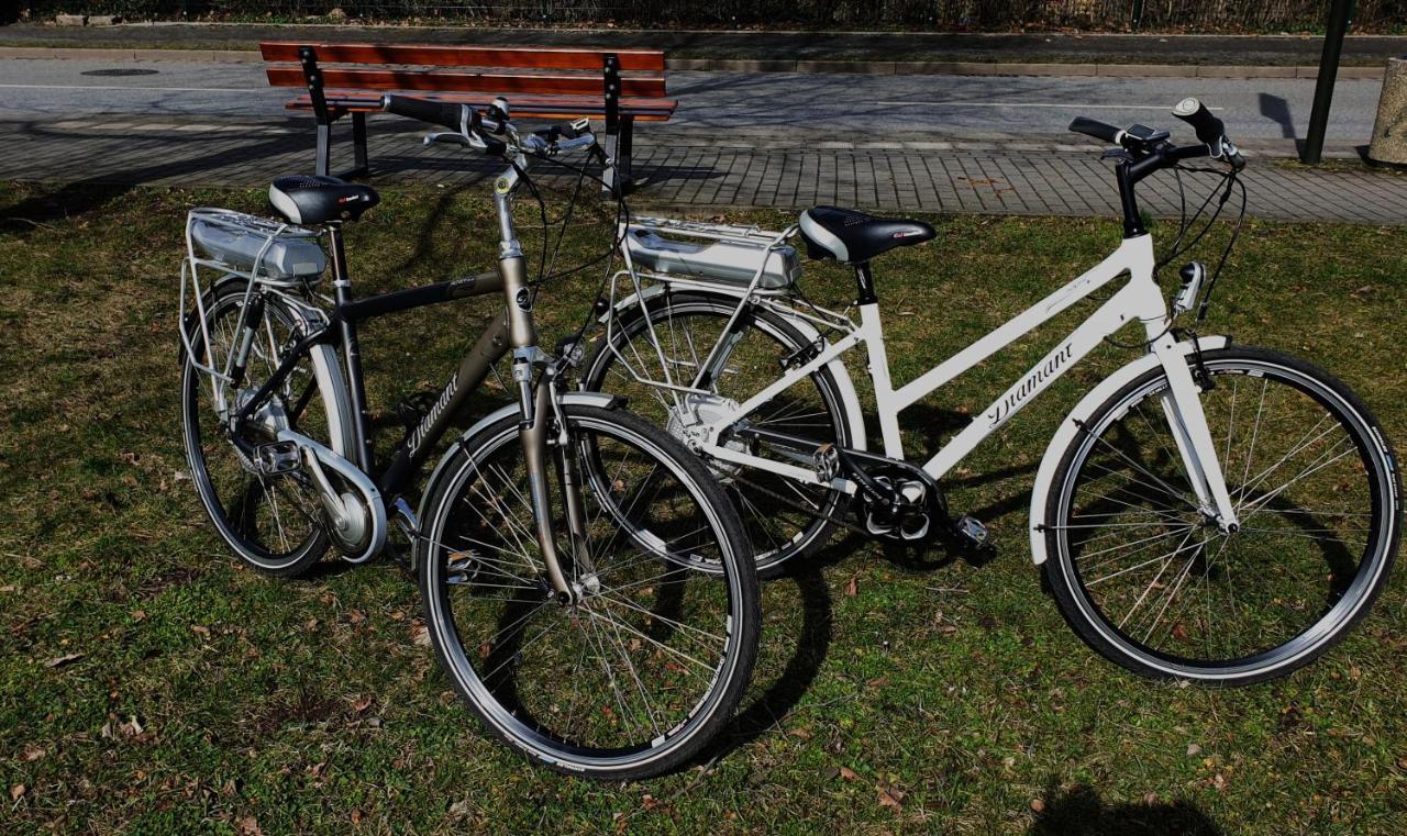 Ferienwohnung Tukan Apartment Dresden Laubegast Wlan Tv Ebike Extérieur photo